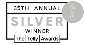 Silver Telly Award 35